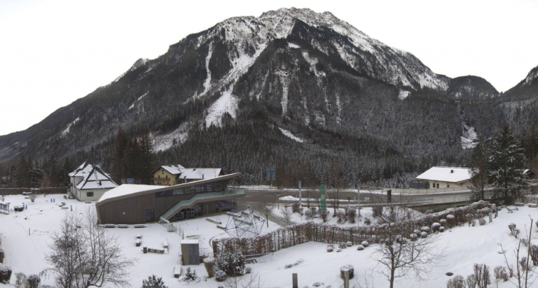 A kép tartalma: alacsony hótakarót szemléltető kép