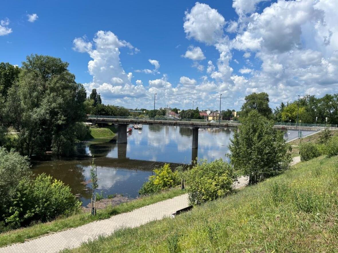 A kép tartalma: Baja, áradó Sugóvica